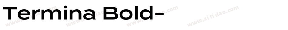 Termina Bold字体转换